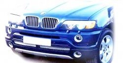Накладка AS Concept на передний бампер BMW X5 E53 дорестайлинг (1999-2003)
