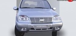 499 р. Накладки на зеркала Кураж 2 до 2005 года  Chevrolet Niva  2123 (2002-2008), Лада 2123 (Нива Шевроле) (2002-2008) (Неокрашенные)  с доставкой в г. Калуга. Увеличить фотографию 1