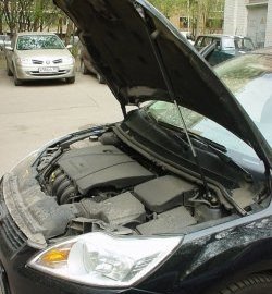 2 249 р. Упор капота Sport  Ford Focus  2 (2007-2011) (Без кронштейна)  с доставкой в г. Калуга. Увеличить фотографию 1