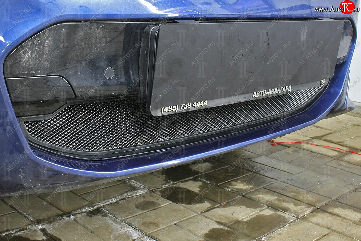 3 099 р. Защитная сетка радиатора в бампер Стрелка 11 Стандарт (алюминий/пластик, 2.0i /2.0d/3.0d, AT, Base)  BMW X3  G01 (2017-2021) (Цвет: черный)  с доставкой в г. Калуга