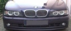 1 649 р. Реснички на фары Badlook  BMW 5 серия  E39 (1995-2003) (Неокрашенные)  с доставкой в г. Калуга. Увеличить фотографию 1