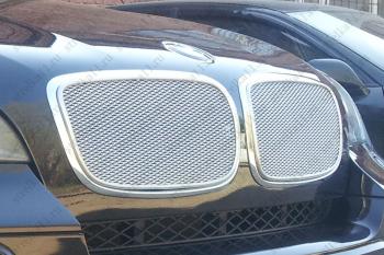 6 649 р. Защитная сетка решетки радиатора AUTOLEADER Премиум BMW X5 E70 дорестайлинг (2006-2010) (Хром)  с доставкой в г. Калуга. Увеличить фотографию 1