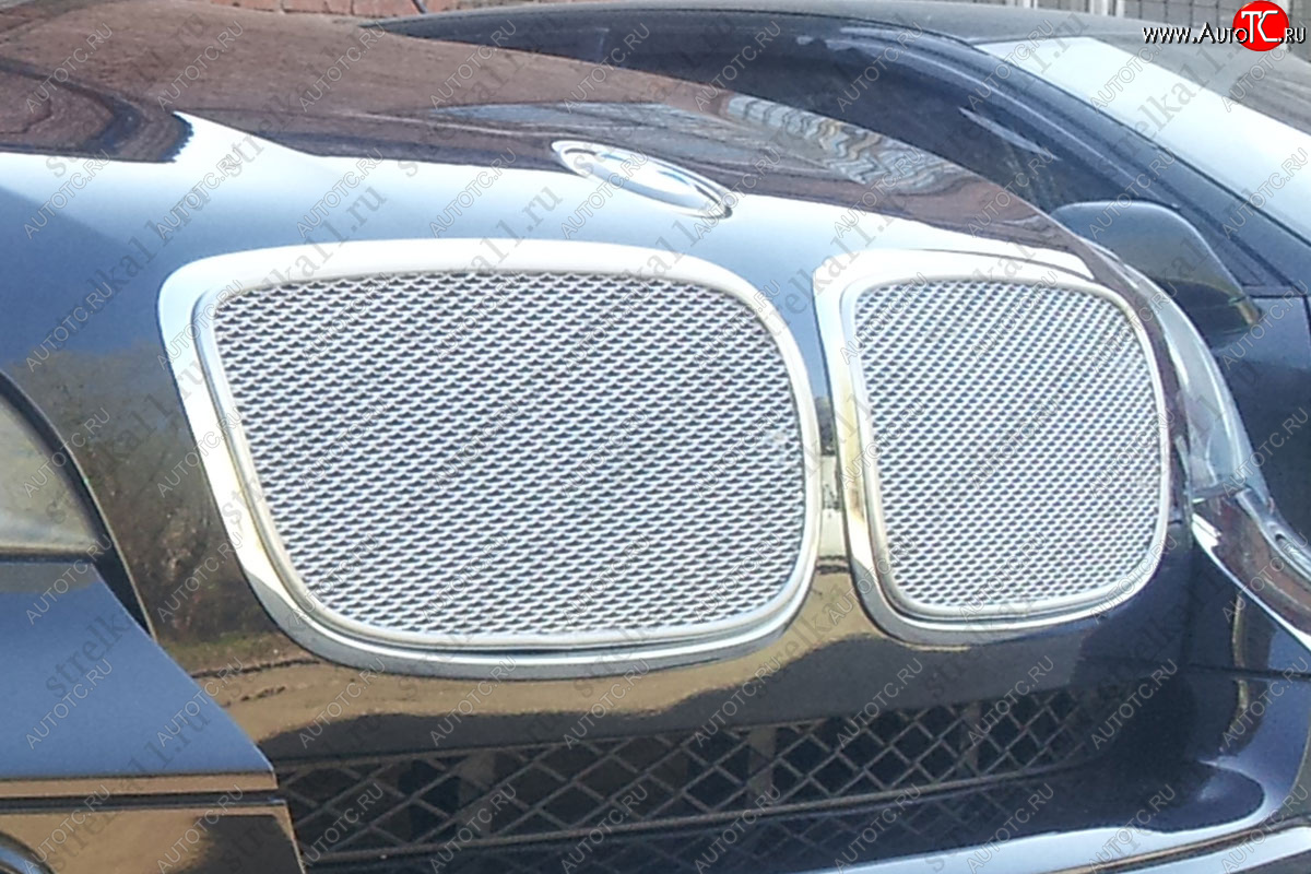 6 649 р. Защитная сетка решетки радиатора AUTOLEADER Премиум BMW X5 E70 дорестайлинг (2006-2010) (Хром)  с доставкой в г. Калуга
