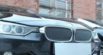 Защитная сетка решетки радиатора Стрелка 11 Премиум (алюминий) BMW 3 серия F30 седан дорестайлинг (2012-2015)