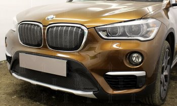 6 549 р. Защитная сетка радиатора в бампер Стрелка 11 Премиум (алюминий)  BMW X1  F48 (2015-2019) (Цвет: черный)  с доставкой в г. Калуга. Увеличить фотографию 1