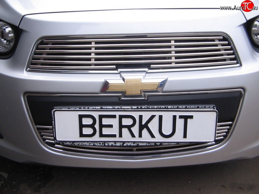 3 999 р. Декоративная вставка воздухозаборника Berkut Chevrolet Aveo T300 седан (2011-2015)  с доставкой в г. Калуга
