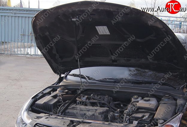 3 299 р. Газовый упор капота Tuning-Sport  Chevrolet Cruze ( седан,  хэтчбек) (2009-2015)  с доставкой в г. Калуга