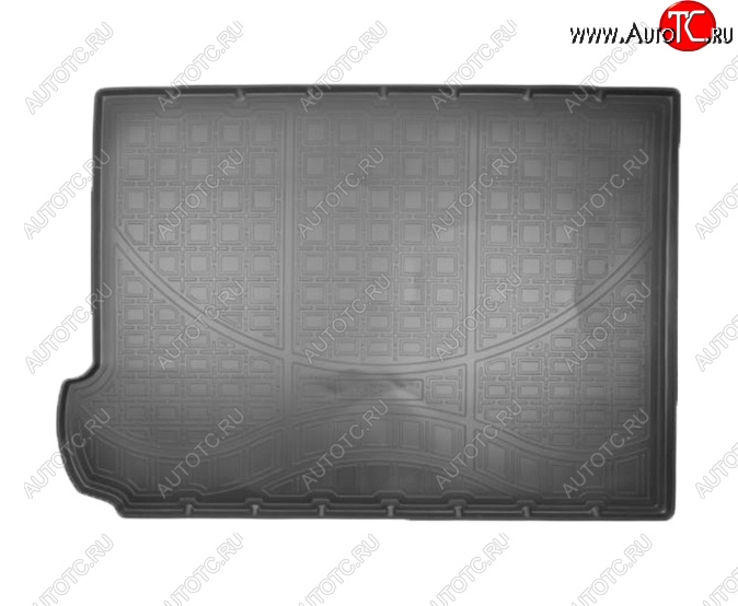 1 589 р. Коврик в багажник Norplast  CITROEN C4 Grand Picasso (2014-2024) (Черный)  с доставкой в г. Калуга