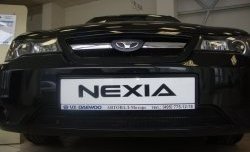 1 339 р. Сетка на бампер Russtal (черная)  Daewoo Nexia  рестайлинг (2008-2015)  с доставкой в г. Калуга. Увеличить фотографию 5