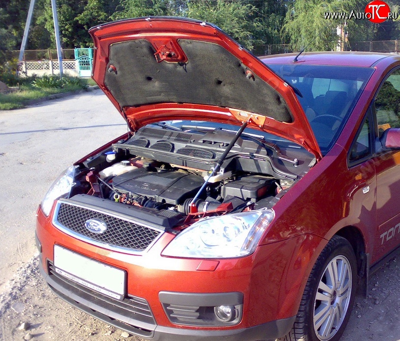 2 969 р. Упор капота Sport  Ford C-max  Mk1 (2007-2010)  с доставкой в г. Калуга