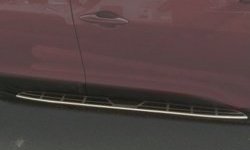 25 949 р. Пороги CT Ford EcoSport дорестайлинг (2013-2019)  с доставкой в г. Калуга. Увеличить фотографию 1