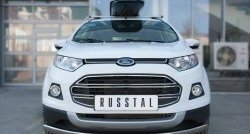 15 649 р. Защита переднего бампера (Ø75х42 мм, нержавейка) Russtal  Ford EcoSport (2013-2019)  с доставкой в г. Калуга. Увеличить фотографию 1