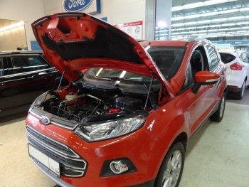Упоры капота Russtal Ford EcoSport дорестайлинг (2013-2019)