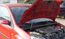 2 969 р. Упор капота Sport Ford Fiesta 5 хэтчбэк 5 дв. дорестайлинг (2001-2005) (с кронштейном)  с доставкой в г. Калуга. Увеличить фотографию 1
