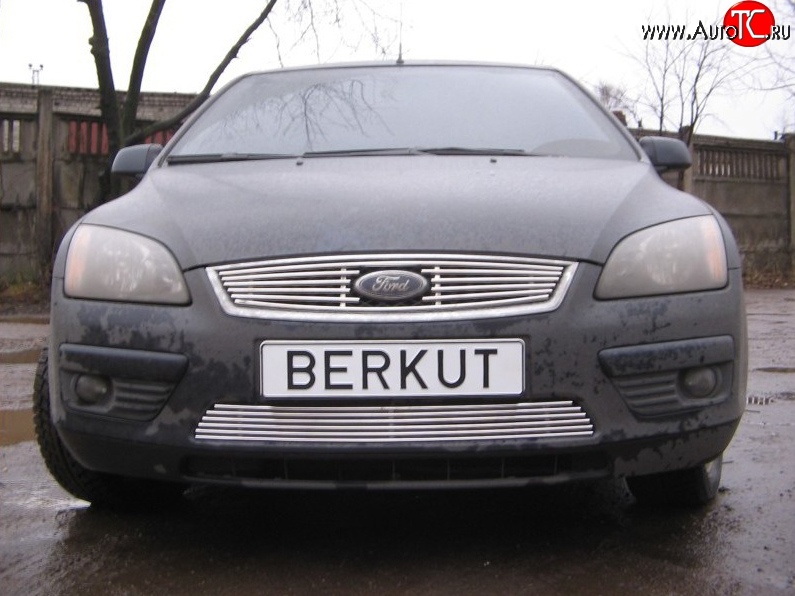 4 999 р. Декоративная вставка решетки радиатора Berkut  Ford Focus  2 (2004-2008)  с доставкой в г. Калуга