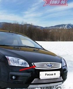 3 824 р. Декоративный элемент решетки радиатора Souz-96 (d10) Ford Focus 2 хэтчбэк 5 дв. дорестайлинг (2004-2008)  с доставкой в г. Калуга. Увеличить фотографию 1