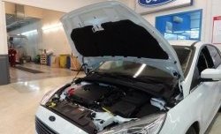 2 199 р. Газовые упоры капота Berkut Ford Focus 3 универсал дорестайлинг (2010-2015)  с доставкой в г. Калуга. Увеличить фотографию 1