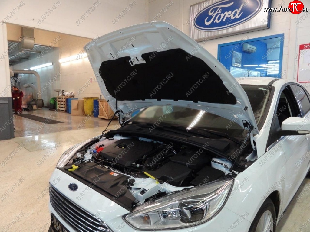 2 199 р. Газовые упоры капота Berkut Ford Focus 3 универсал дорестайлинг (2010-2015)  с доставкой в г. Калуга