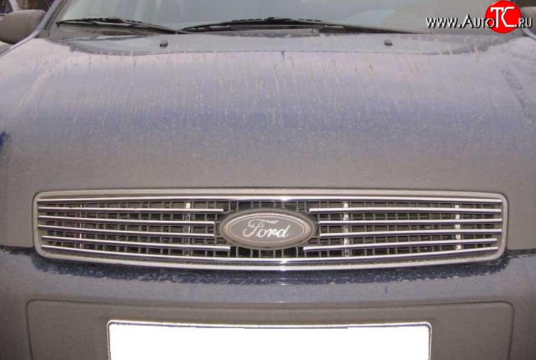 4 999 р. Декоративная вставка решетки радиатора Berkut  Ford Fusion  1 (2005-2012)  с доставкой в г. Калуга