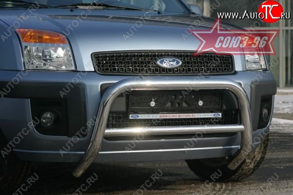 10 979 р. Защита переднего бампера Souz-96 (d60)  Ford Fusion  1 (2005-2012)  с доставкой в г. Калуга