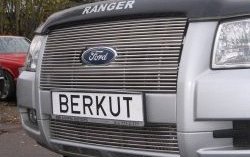 Декоративная вставка решетки радиатора Berkut Ford Ranger 2 (2006-2009)