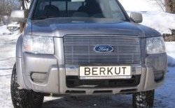 Декоративная вставка решетки радиатора (рестайлинг) Berkut Ford Ranger 2 (2006-2009)