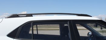 8 199 р. Комплект рейлингов АПС  Hyundai Creta  GS (2015-2021) (Серебристые без поперечин )  с доставкой в г. Калуга. Увеличить фотографию 2