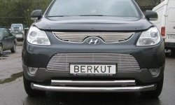 Декоративная вставка решетки радиатора Berkut Hyundai IX55 EN (2006-2013)