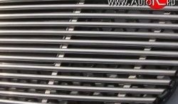 Декоративная вставка решетки радиатора Berkut (d12 мм) Hyundai Santa Fe 3 DM дорестайлинг (2012-2016)