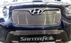 Декоративная вставка решетки радиатора Berkut (d10 мм) Hyundai Santa Fe 2 CM рестайлинг (2009-2012)