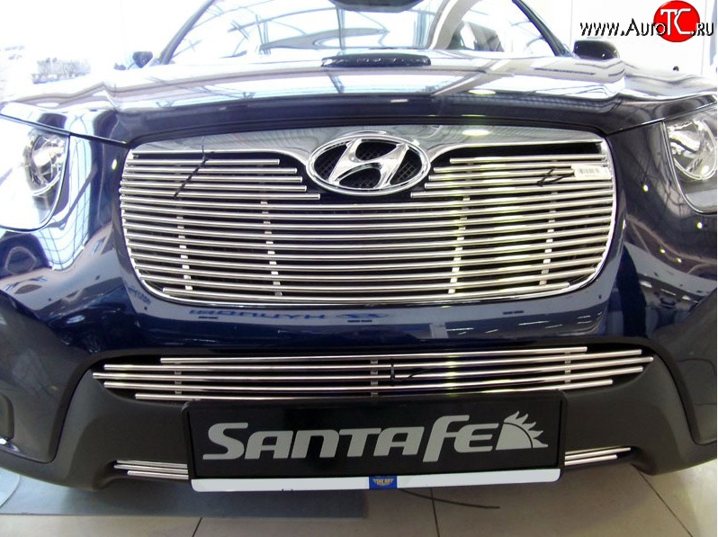 5 849 р. Декоративная вставка решетки радиатора Berkut (d10 мм) Hyundai Santa Fe 2 CM рестайлинг (2009-2012)  с доставкой в г. Калуга