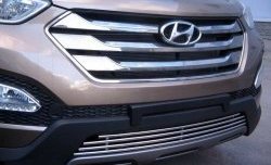 4 399 р. Нижняя декоративная вставка воздухозаборника Berkut Hyundai Santa Fe 3 DM дорестайлинг (2012-2016)  с доставкой в г. Калуга. Увеличить фотографию 1