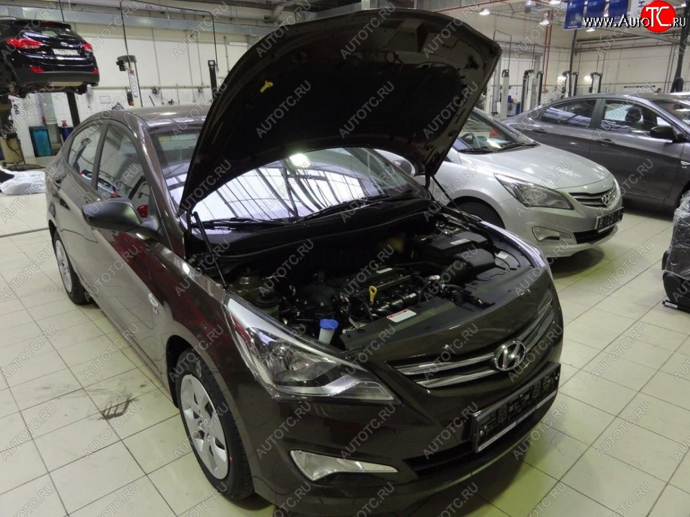 2 199 р. Газовые упоры капота Berkut Hyundai Solaris 1 седан RBr рестайлинг (2014-2017)  с доставкой в г. Калуга