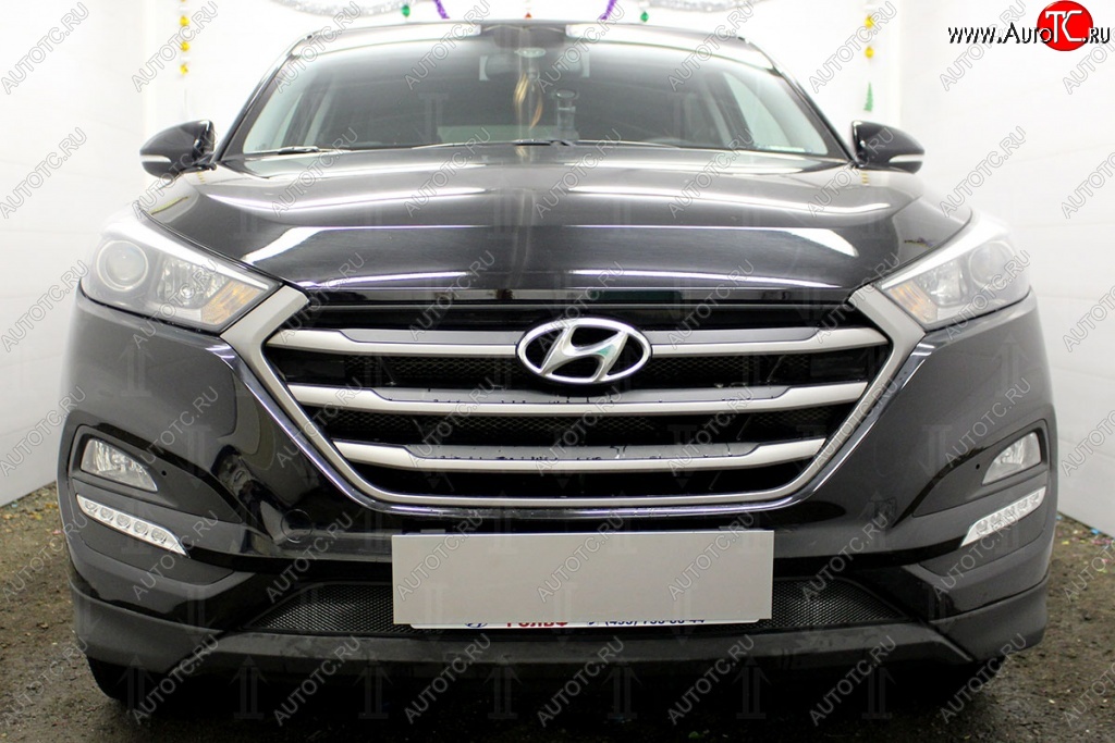 1 469 р. Защитная сетка на бампер Russtal (черная)  Hyundai Tucson  3 TL (2015-2018)  с доставкой в г. Калуга