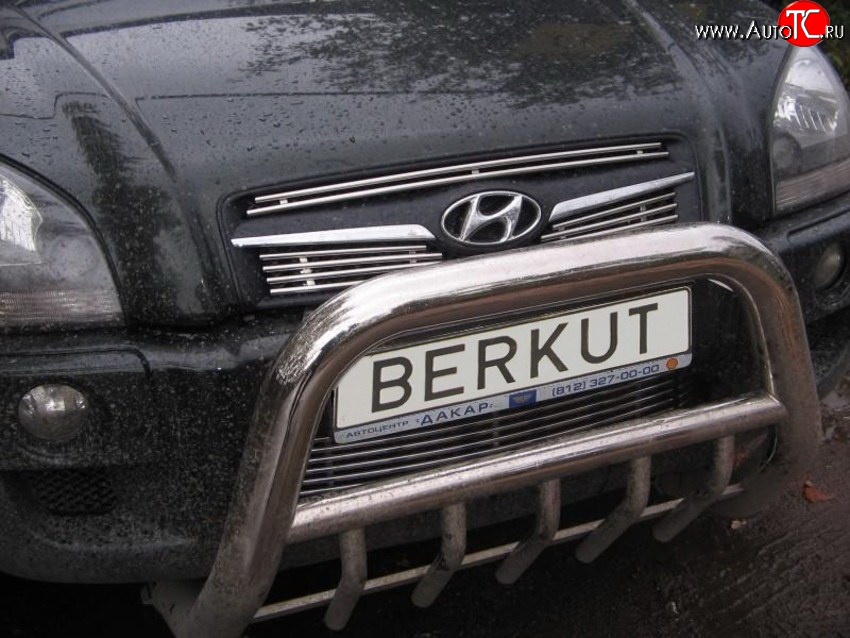 4 799 р. Декоративная вставка воздухозаборника Berkut Hyundai Tucson JM (2004-2010)  с доставкой в г. Калуга