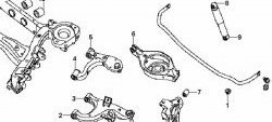 1 089 р. Полиуретановый сайлентблок нижнего рычага (под пружину) задней подвески Точка Опоры Nissan Pathfinder R51 дорестайлинг (2004-2007)  с доставкой в г. Калуга. Увеличить фотографию 2
