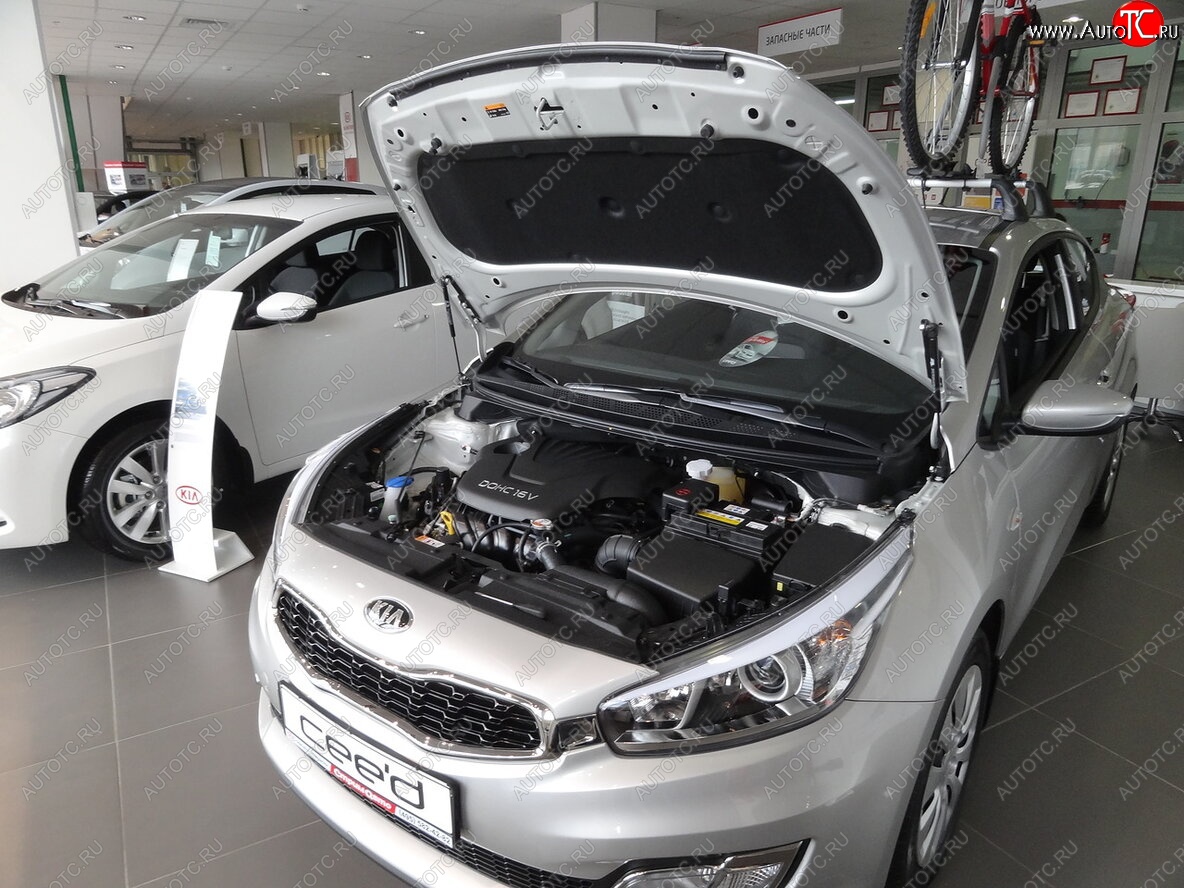 2 049 р. Упоры капота Russtal KIA Ceed 2 JD дорестайлинг, хэтчбэк (2012-2015)  с доставкой в г. Калуга