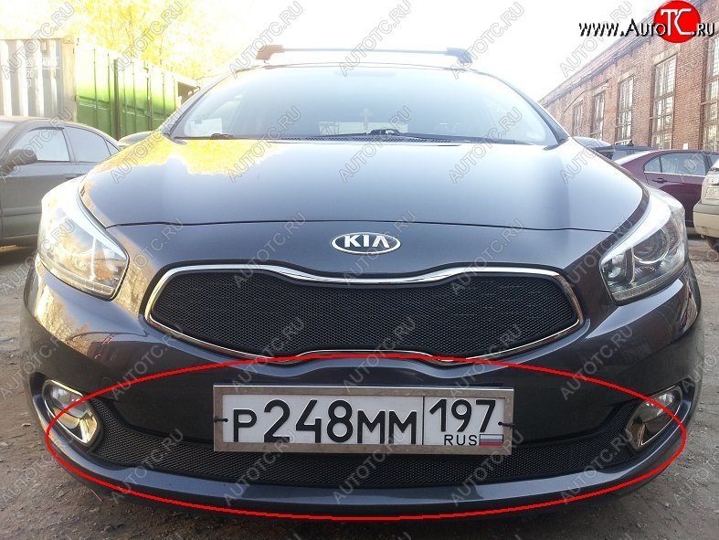 2 099 р. Нижняя защитная сетка на бампер Russtal (черная)  KIA Ceed  1 ED (2010-2012) рестайлинг, хэтчбэк 5 дв.  с доставкой в г. Калуга