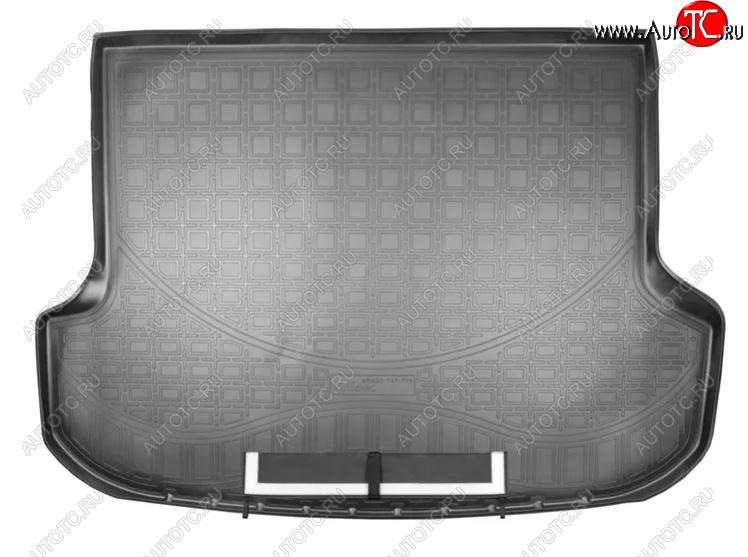2 899 р. Коврик в багажник Norplast  Lexus RX ( 350,  200T) (2015-2019) (Черный с фартуком)  с доставкой в г. Калуга