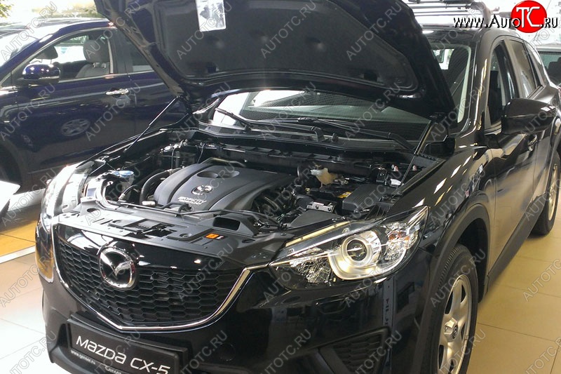 2 199 р. Газовые упоры капота Berkut Mazda CX-5 KE рестайлинг (2015-2017)  с доставкой в г. Калуга