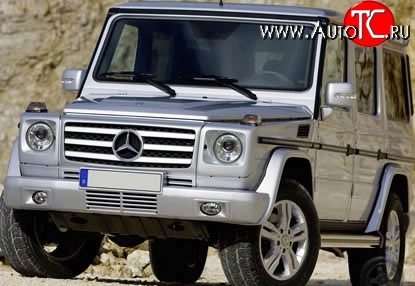 19 199 р. Решётка радиатора AMG Mercedes-Benz G class W463 5 дв. дорестайлинг (1989-1994) (Неокрашенная)  с доставкой в г. Калуга