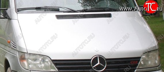 13 549 р. Пластиковый капот Standart Mercedes-Benz Sprinter W905 рестайлинг (2000-2006)  с доставкой в г. Калуга