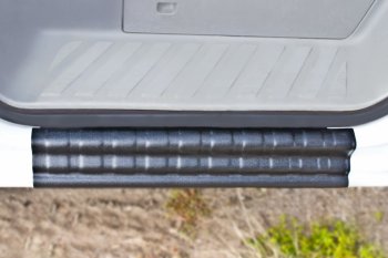 1 499 р. Накладка на внутренние пороги дверей RA Mercedes-Benz Sprinter W906 (2006-2013)  с доставкой в г. Калуга. Увеличить фотографию 3