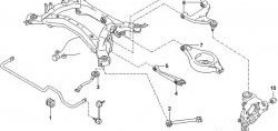 979 р. Полиуретановый сайлентблок нижнего поперечного рычага задней подвески (внутренний) Точка Опоры  Nissan Elgrand  2 (2002-2004)  с доставкой в г. Калуга. Увеличить фотографию 2