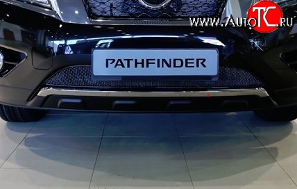 1 799 р. Сетка на бампер Novline  Nissan Pathfinder  R52 (2012-2017)  с доставкой в г. Калуга