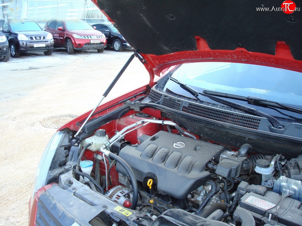 2 969 р. Упор капота Sport  Nissan Qashqai  1 (2007-2010)  с доставкой в г. Калуга