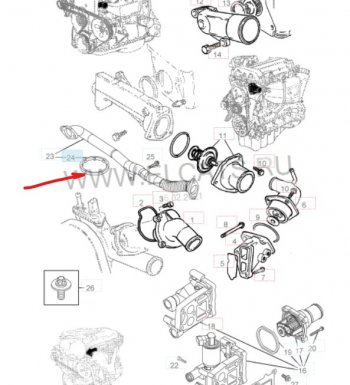 Уплотнительное кольцо маслопровода GM (дв. Z16XEP, к корпусу масляного фильтра) Opel (Опель) Astra (Астра) ( H,  H GTC) (2004-2015) H, H GTC универсал, хэтчбек 3 дв. дорестайлинг, хэтчбек 5дв дорестайлинг, универсал рестайлинг, хэтчбек 3 дв. рестайлинг, хэтчбек 5дв рестайлинг