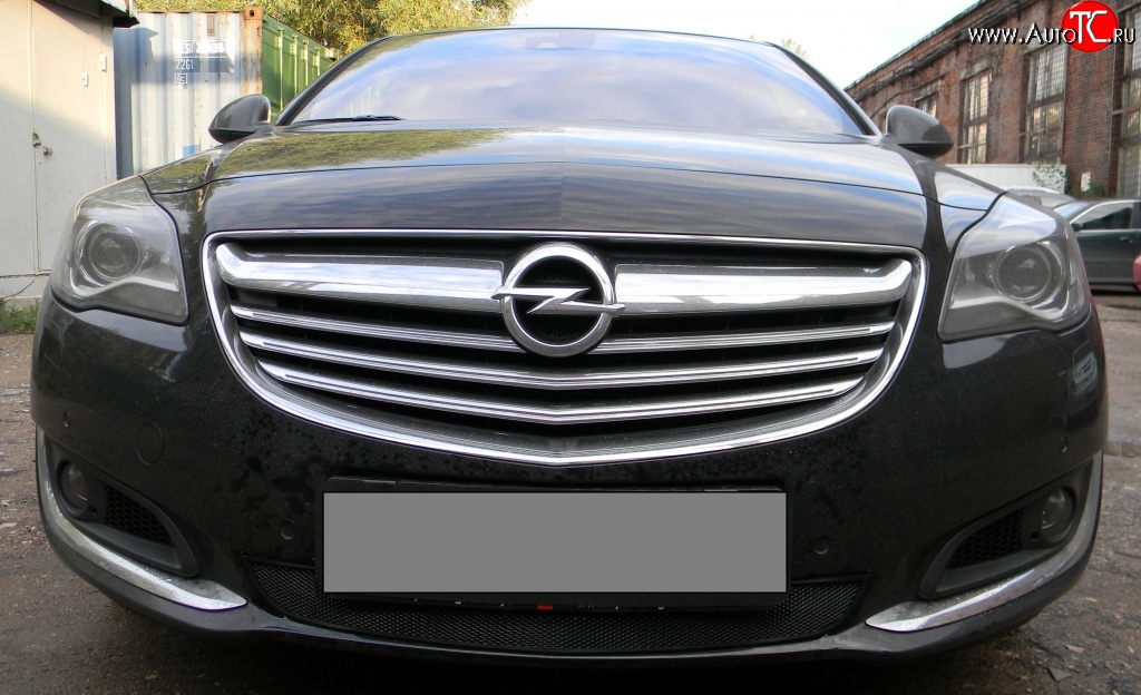 1 469 р. Сетка на бампер (рестайлинг) Russtal (черная)  Opel Insignia  A (2008-2017)  с доставкой в г. Калуга