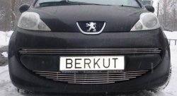 Декоративная вставка воздухозаборника Berkut Peugeot 107 PN хэтчбэк 3 дв. дорестайлинг (2005-2009)