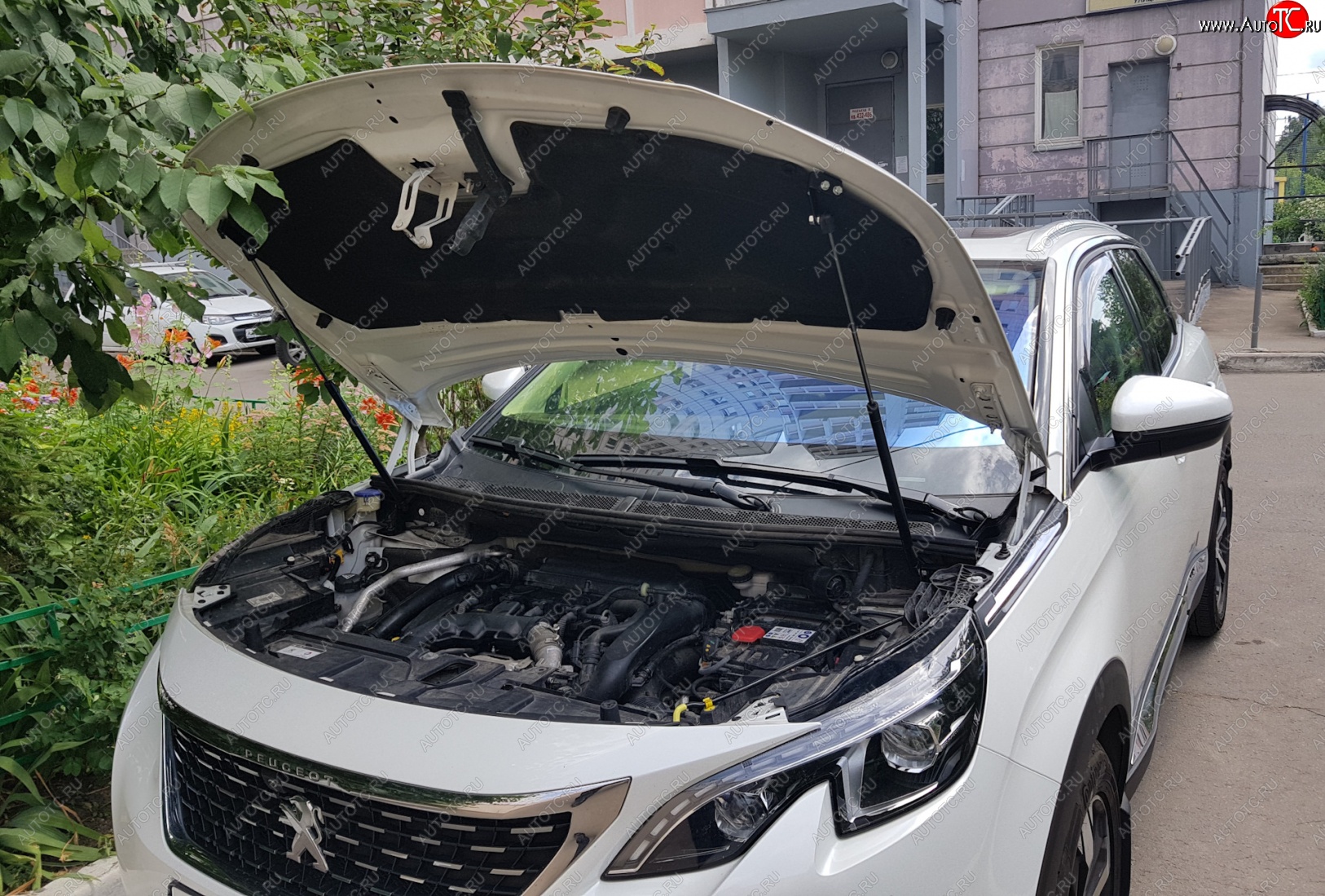 2 799 р. Упоры капота Russtal Peugeot 3008 2 (2016-2024)  с доставкой в г. Калуга